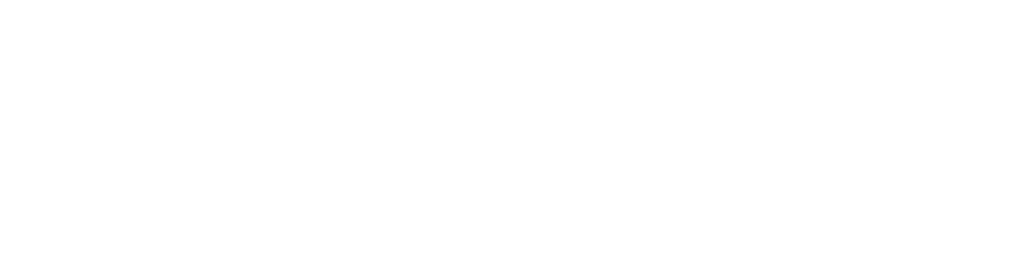 CEO VIỆT
